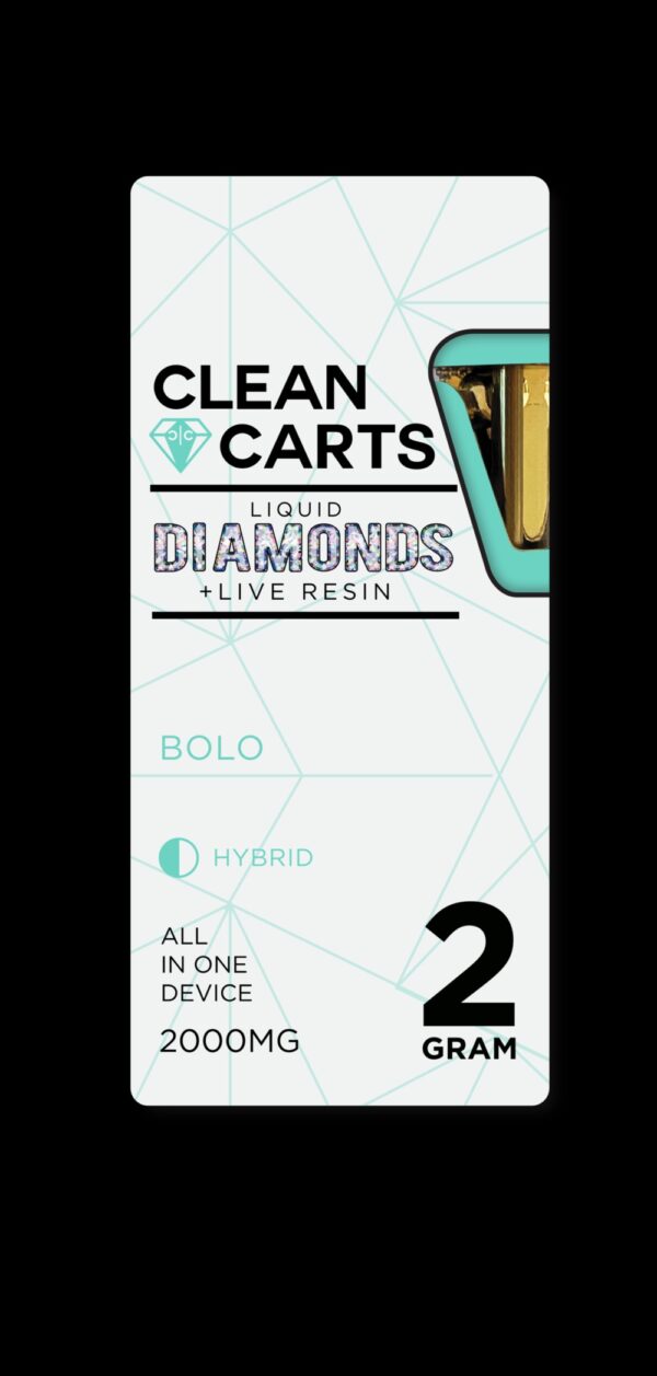 BOLO